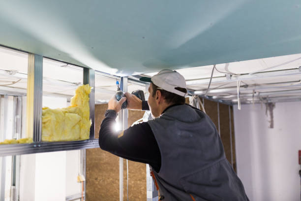 Best Insulation Maintenance and Repair in Farmersburg, IN